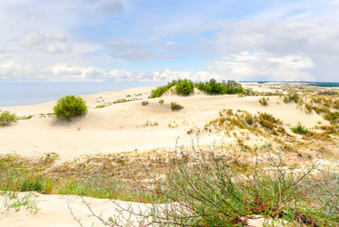 Similar image 21283037