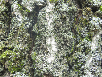 Similar image 21264882