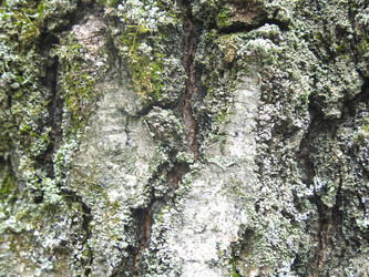 Similar image 21264884