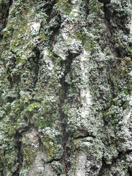 Similar image 21264886