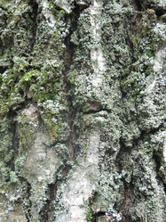 Similar image 21264887