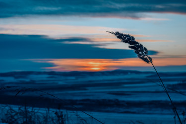 Similar image 21268578