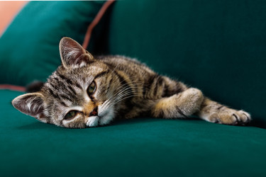 Similar image 21269893