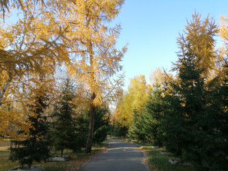 Similar image 21275510