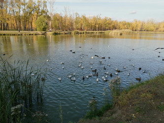 Similar image 21275511