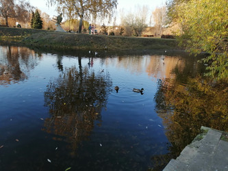 Similar image 21275514