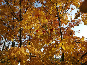 Similar image 21275515