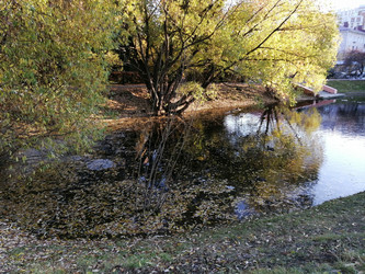 Similar image 21275517