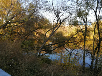 Similar image 21275518