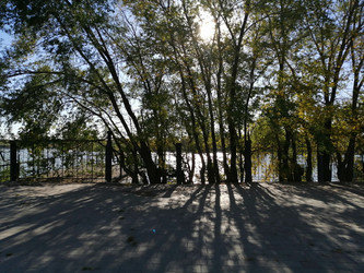 Similar image 21264510