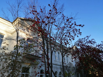 Similar image 21275521