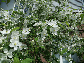 Similar image 21275523