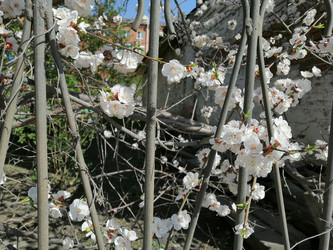 Similar image 21275524