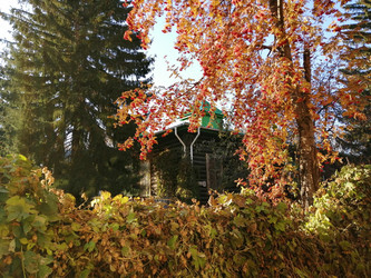 Similar image 21275526