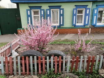 Similar image 21275527