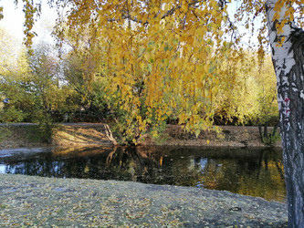 Similar image 21275530