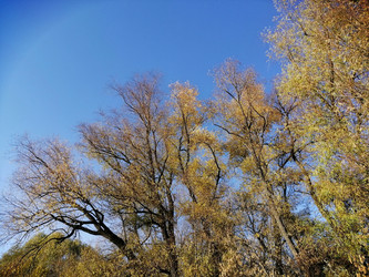 Similar image 21275531