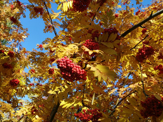 Similar image 21275532