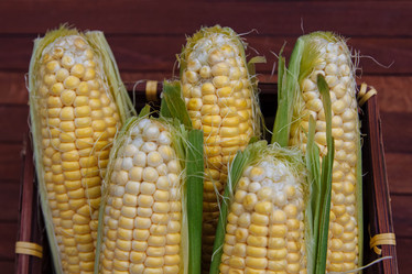 Similar image 21284080