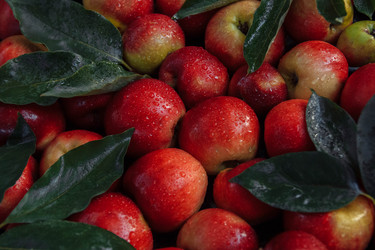 Similar image 21284081