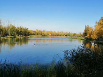 Similar image 21264515