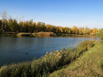 Similar image 21275548