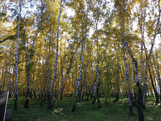 Similar image 21275549