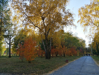 Similar image 21275550