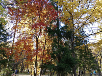 Similar image 21275551