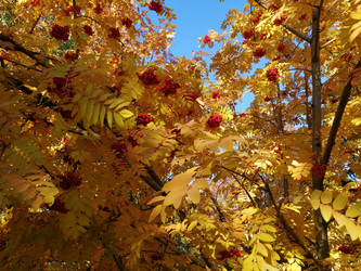 Similar image 21275552