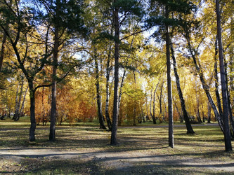 Similar image 21275553