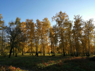 Similar image 21264517