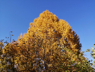 Similar image 21264518