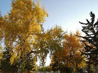 Similar image 21275554