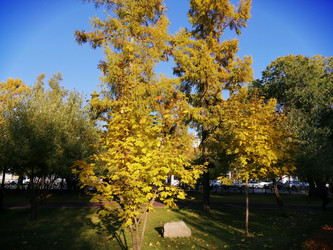 Similar image 21275555