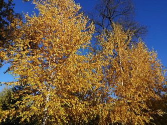 Similar image 21275556