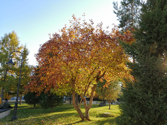 Similar image 21264519