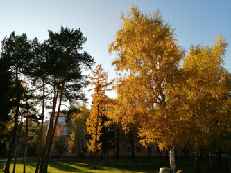 Similar image 21275559