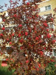 Similar image 21264521