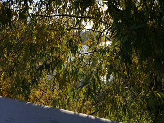 Similar image 21275561