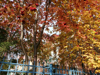 Similar image 21275562