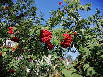 Similar image 21264522