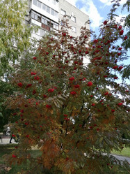 Similar image 21275564