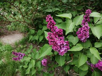 Similar image 21275565