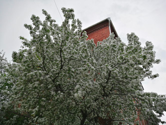 Similar image 21275567