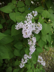 Similar image 21275569