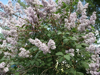 Similar image 21275570