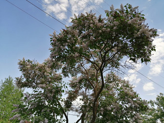 Similar image 21264530