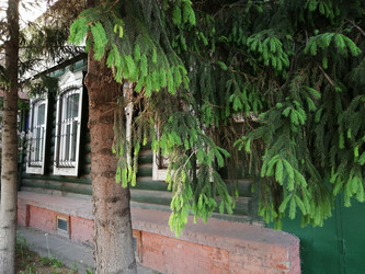 Similar image 21264531