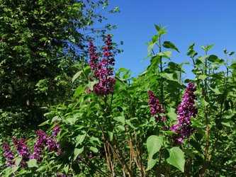 Similar image 21275571